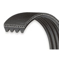 Replacement Belt For Adjustable EP3 Pulley Kit 7PK1283 K20