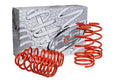 B&G Lowering Springs 1997-2001 Hyundai Tiburon